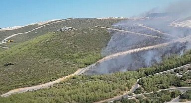 Muğla Milas'taki orman yangınına müdahale sürüyor