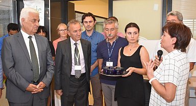 Muğla'da zeytinyağı tadımları yeniden başlıyor