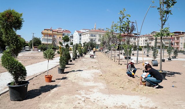 Nevşehir Belediyesi'nden ağaç hamlesi