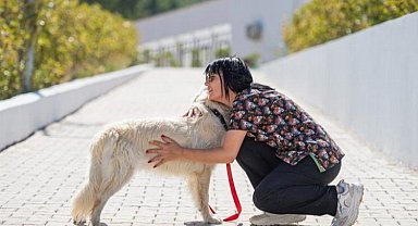Önce tedavi ettiler, sonra sahiplendiler