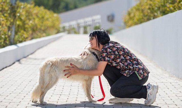 Önce tedavi ettiler, sonra sahiplendiler