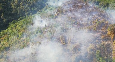 Sakarya Adapazarı'ndaki yangın kontrol altına alındı