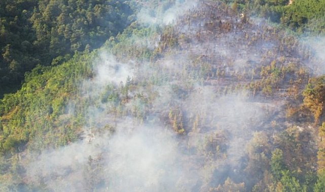 Sakarya Adapazarı'ndaki yangın kontrol altına alındı