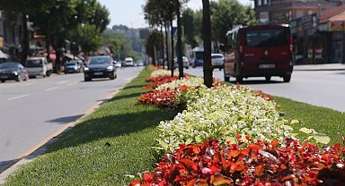 Sakarya çiçek bahçesine döndü