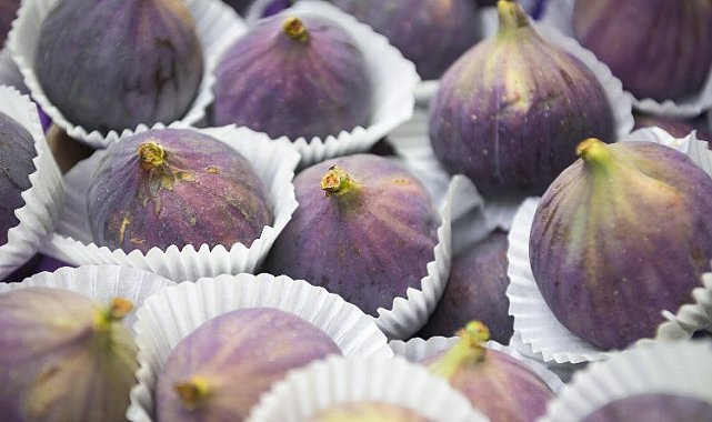 Sarılop ve Bursa Siyahı'nın ihracat tarihleri belli oldu... Taze incirde ihracat zamanı