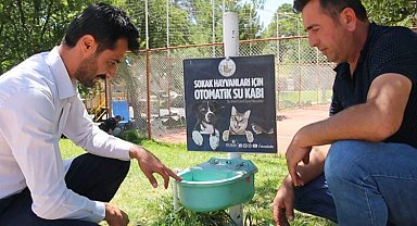 Sivas'ta sokak hayvanlarına otomatik sulama