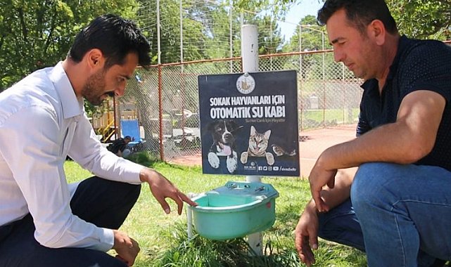 Sivas'ta sokak hayvanlarına otomatik sulama