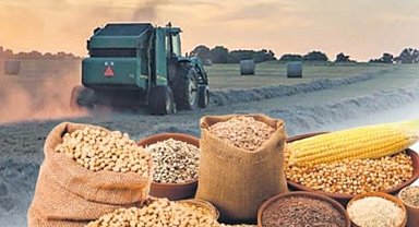 Tarım Ürünleri Fiyat Endeksi'nin Haziran verileri açıklandı