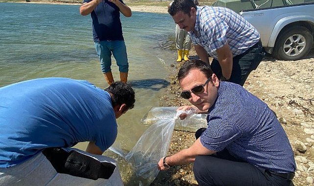 Türkiye'nin balığı İpsala'dan