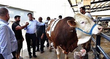 Türkiye'nin en modern kurban pazarında hareketli günler