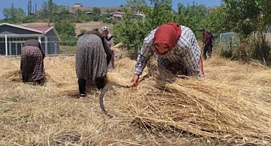 40 derecelik sıcaklıkta vatan için buğday dikiyor