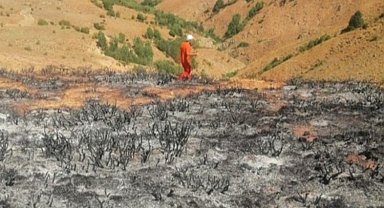 Bingöl Yayladere'de otluk alanda yangın