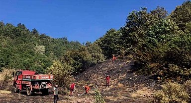 Bingöl'de orman yangını kontrol altına alındı