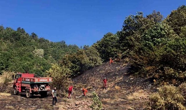 Bingöl'de orman yangını kontrol altına alındı