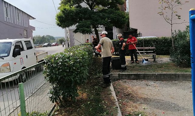 Bursa Gürsu'da parklar yeşilin huzuruyla kaplandı