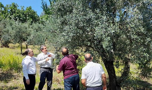 Bursa Mudanya'da dolu afetinden zarar gören üreticilere ziyaret