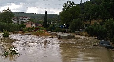 Bursa Mudanya'da 'sağanak' teslimiyet! 260 konutu su bastı, ağaçlar devrildi, dereler taştı!