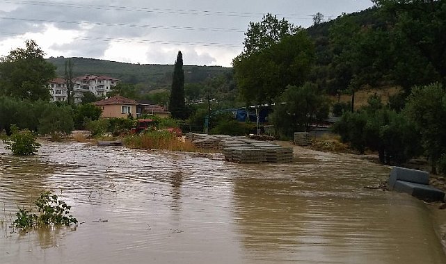Bursa Mudanya'da 'sağanak' teslimiyet! 260 konutu su bastı, ağaçlar devrildi, dereler taştı!