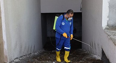 Bursa Mudanya'da sel sonrası haşare temizliği