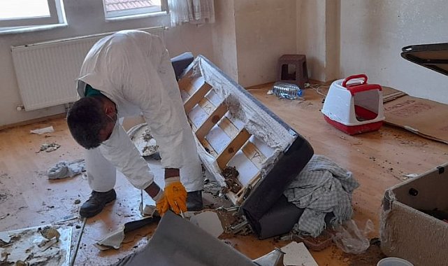 Bursa Osmangazi'deki çöp evden onlarca kedi çıktı