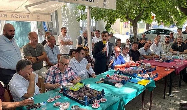 Bursa'da İYİ Partililer, incir üreticisinin mağduriyetini dile getirdi