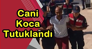 Cani Koca Tutuklandı