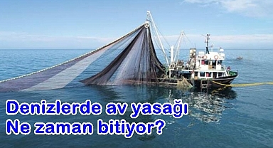 Denizlerde av yasağı ne zaman bitecek?