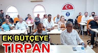DİDİM BELEDİYE MECLİSİNDE EK BÜTÇEYE TIRPAN