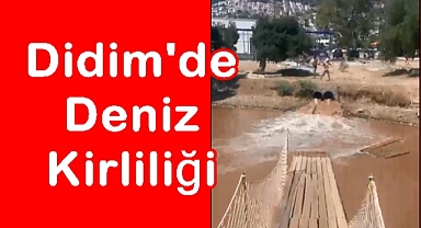 Didim'de Deniz Kirliliği