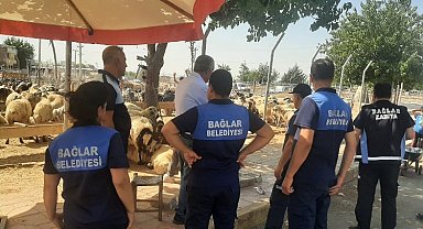 Diyarbakır Bağlar'da kaçak hayvan pazarına yıkım!