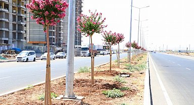 Diyarbakır'ın caddeleri 'Oya' gibi işlendi
