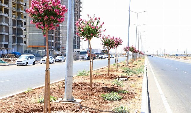 Diyarbakır'ın caddeleri 'Oya' gibi işlendi