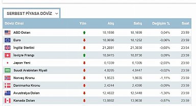 Dolar nereye koşuyor? Euro yarışta geride kaldı