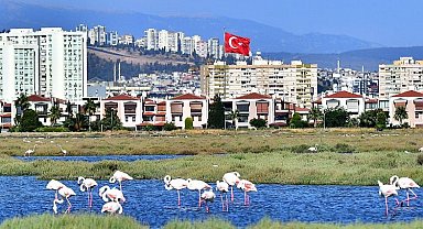 Flamingolar İzmirlileri büyülüyor