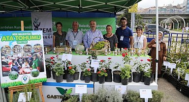 GastroRize festivalinde yöresel lezzetler yarıştı