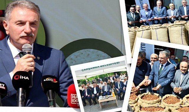 İlk kabuklu fındıklar Samsun'dan alındı... Fındığın randımanı 54 kg
