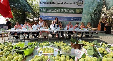 İzmir'de Payamlı Bardacık Festivali'ne büyük ilgi