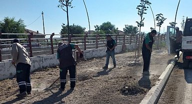 Kayseri Büyükşehir 'yeşil bant' çekti