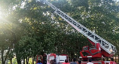 Kocaeli'de ağaçta kalan İHA'yı itfaiye kurtardı