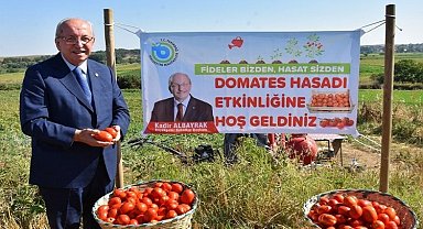 Malkara'da domates hasadı yapıldı