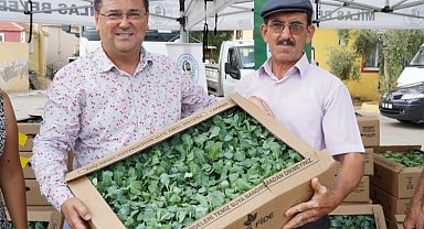 Muğla Milas'tan üreticilere fide desteği