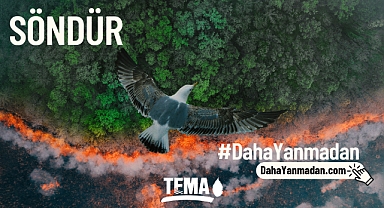 Orman Yangınlarını Önlemek Söndürmekten Daha Kolay