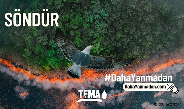 Orman Yangınlarını Önlemek Söndürmekten Daha Kolay