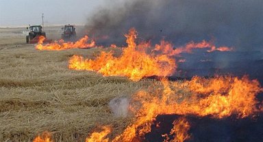 Sakarya'dan 'tarımsal faaliyetlerde ateş yakmayın' uyarısı
