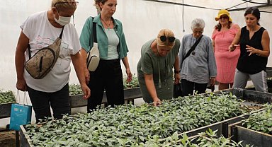 Tıbbi Aromatik Bitkiler Kursu'na yoğun ilgi