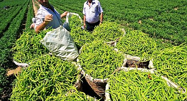 Ukrayna Tarım Heyeti Bursa Yenişehir Ovası'nda