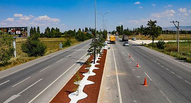 Yeni tasarruf uygulaması: kuru peyzaj