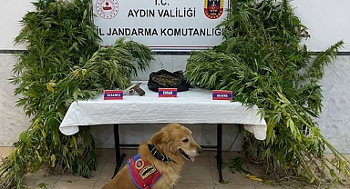 67 OLAY 6 TUTUKLAMA
