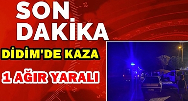 DİDİM'DEKİ KAZADA 1 AĞIR YARALI