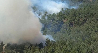 SOMA'DA ORMAN YANGINI
